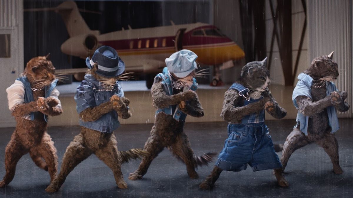 Five cats in denim outfits in a music video